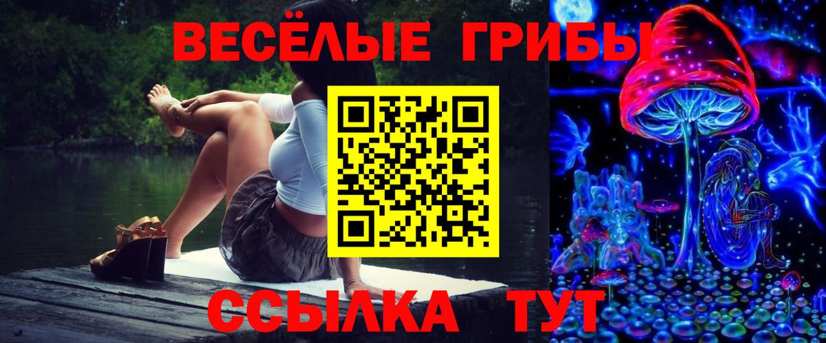 Галлюциногенные грибы Psilocybine cubensis  дарнет шоп  Батайск  Галлюциногенные грибы Magic Shrooms 